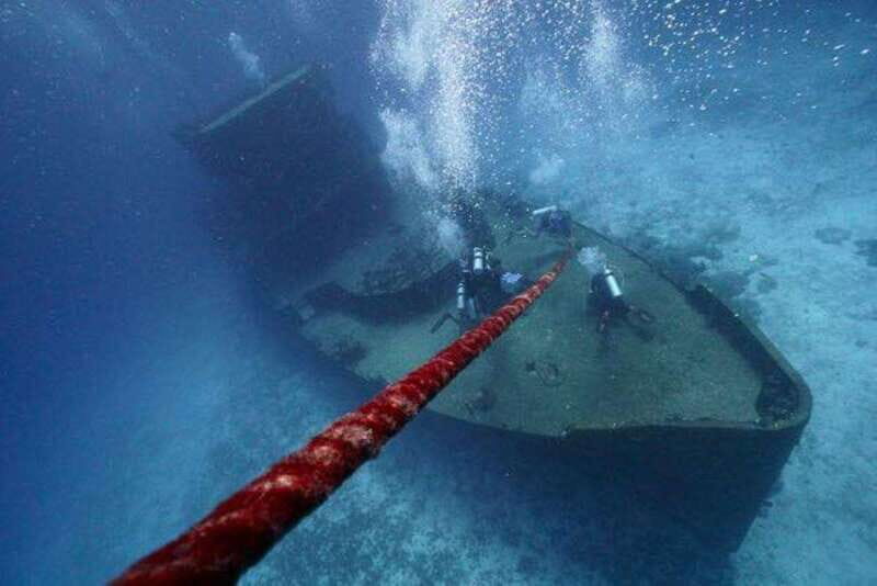 Playa del Carmen: Wreck Dive Mama Viña - An In-Depth Look at the Playa del Carmen Wreck Dive Experience