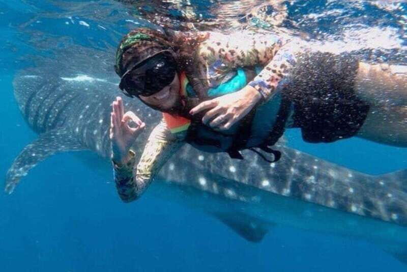 Playa del Carmen:Whale shark Experience in the Caribbean Sea - An In-Depth Look at the Whale Shark Experience