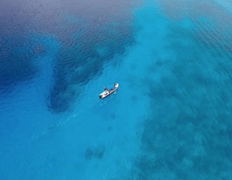 Playa: Dive in Cozumel - An In-Depth Look at the "Dive in Cozumel" Tour