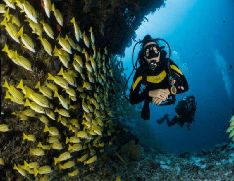 Playa: Dive in Cozumel - The Sum Up
