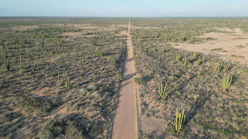 Playa el Cardonal: tour and sandboarding activity in the dunes of Sahuimaro - FAQs