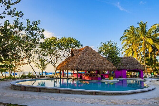 Playa Uvas Open Bar Exclusive Pass - Who Is This Tour Best For?