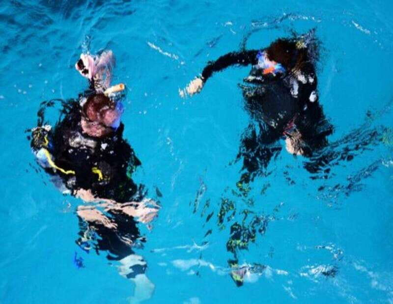 Playa: Wreck Dive - What You Can Expect On This Tour