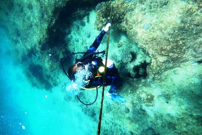 Pleasure Scuba Diving in Fujairah for Certified Diver - Authentic Experiences from Past Travelers
