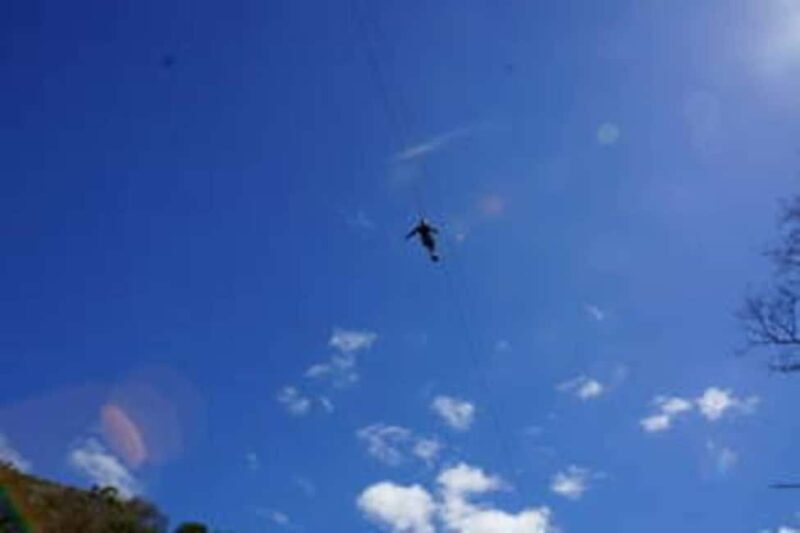 Plettenberg: 2-Hour Zipline Tour - Key Points