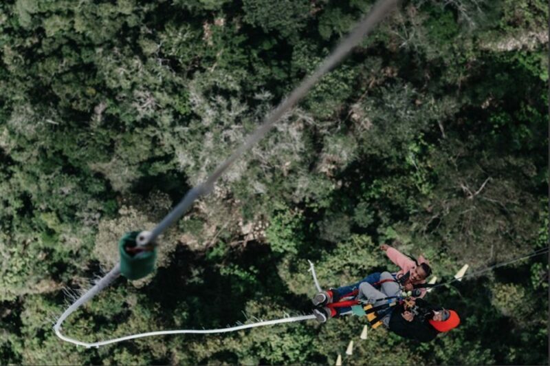 Plettenberg Bay: Bungee Jumping with Zipline and Sky Walk - Key Points