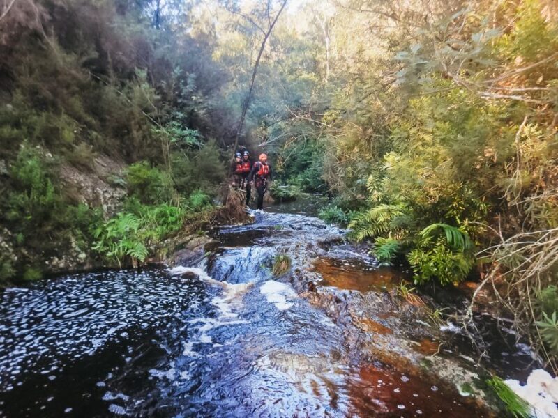 Plettenberg Bay: Canyoning Trip - Key Points