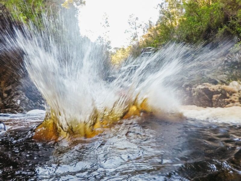 Plettenberg Bay: Canyoning Trip - Navigating the Itinerary