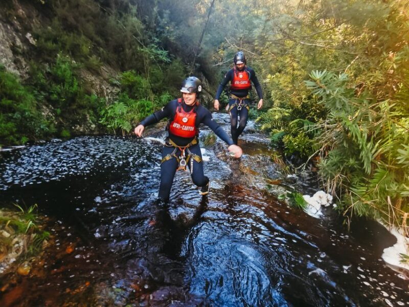 Plettenberg Bay: Canyoning Trip - Duration, Price, and Value