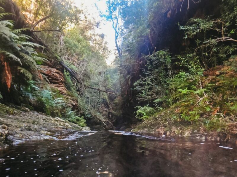 Plettenberg Bay: Canyoning Trip - The Guides and the Experience