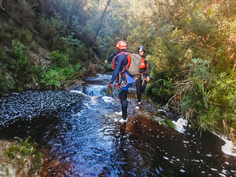 Plettenberg Bay: Canyoning Trip - Who Should Consider This Tour?