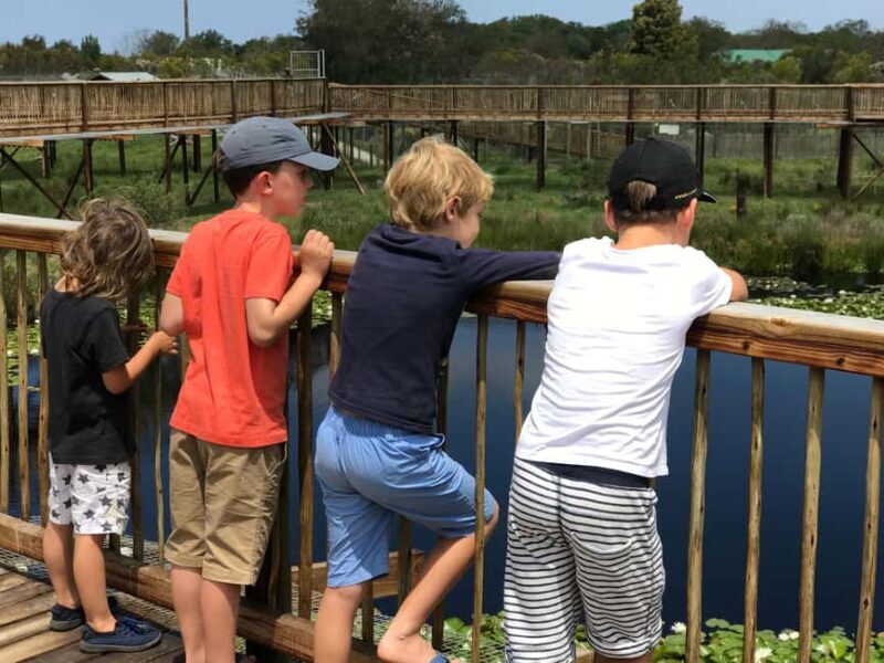 Plettenberg Bay: EcoKidz Family Wildlife Tour - Key Points