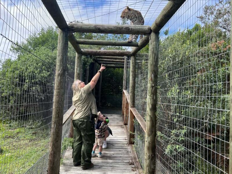 Plettenberg Bay: EcoKidz Family Wildlife Tour - A Detailed Look at the EcoKidz Family Wildlife Tour
