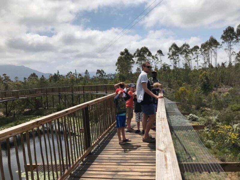 Plettenberg Bay: EcoKidz Family Wildlife Tour - The Sum Up