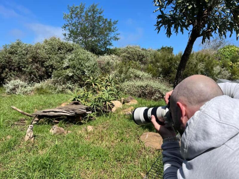 Plettenberg Bay: Full Day Wildlife and Wellness Package - Practical Tips for Travelers