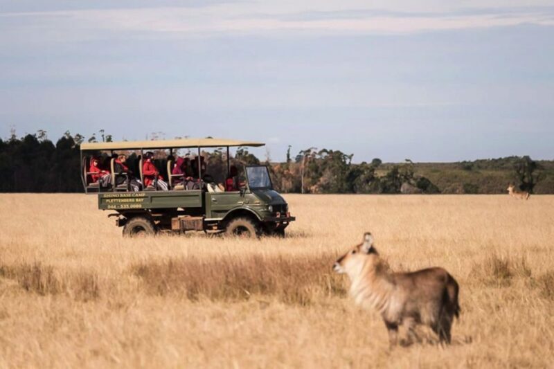 Plettenberg Bay Game Reserve: 2-Hour Game Drive - Key Points