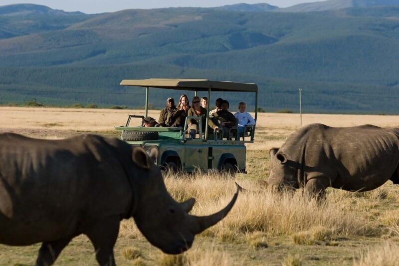 Plettenberg Bay Game Reserve: 2-Hour Game Drive - Who Will Enjoy This Experience?