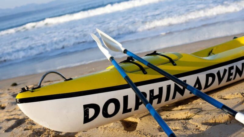 Plettenberg Bay: Guided Sea Kayak Tour - An In-Depth Look at the Experience