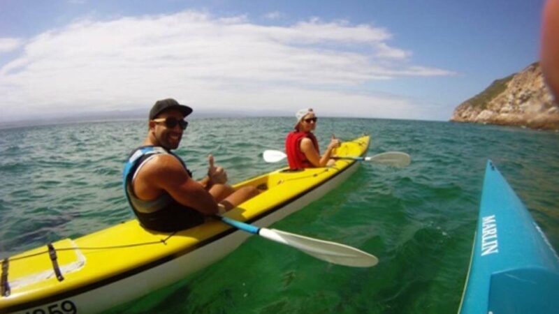 Plettenberg Bay: Guided Sea Kayak Tour - Why This Tour Stands Out