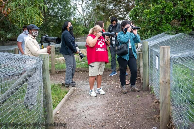 Plettenberg Bay: Private Guided Wildlife Photography Tour - An In-Depth Look at the Experience