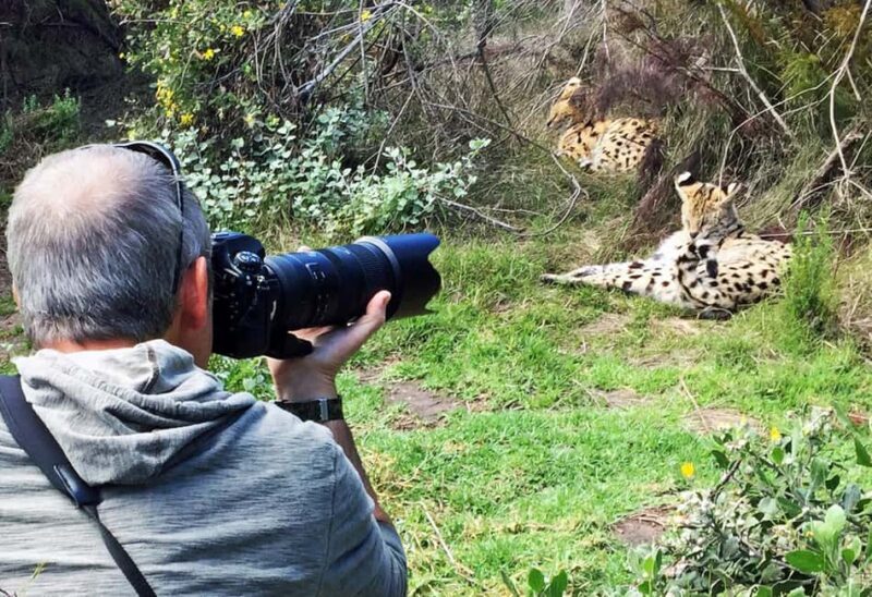 Plettenberg Bay: Private Guided Wildlife Photography Tour - What the Reviews Say