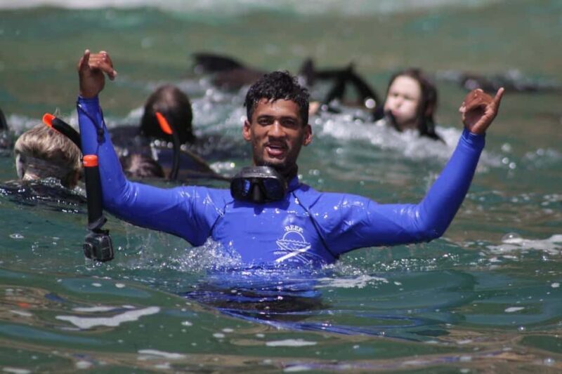 Plettenberg Bay: Seal Swimming Experience - An In-Depth Look at the Seal Swimming Adventure