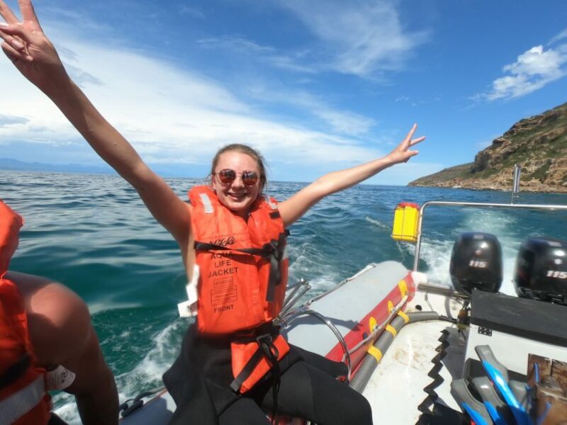 Plettenberg Bay: Seal Swimming Experience - The Sum Up
