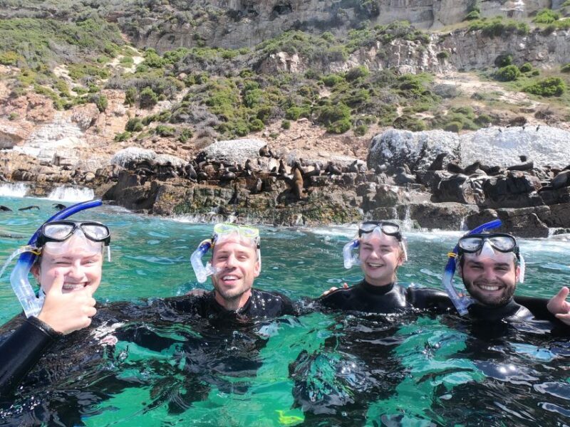 Plettenberg Bay: Seal Swimming Experience - FAQ
