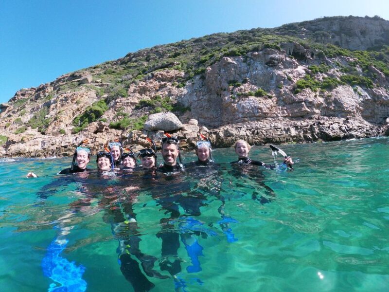 Plettenberg Bay: Swim with Seals - Key Points