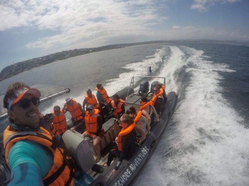 Plettenberg Bay: Swim with Seals - Authentic Reviews: What Travelers Say