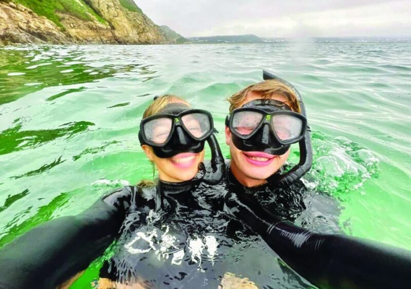 Plettenberg Bay: Swim with the Seals - Final Thoughts: Is It Worth It?