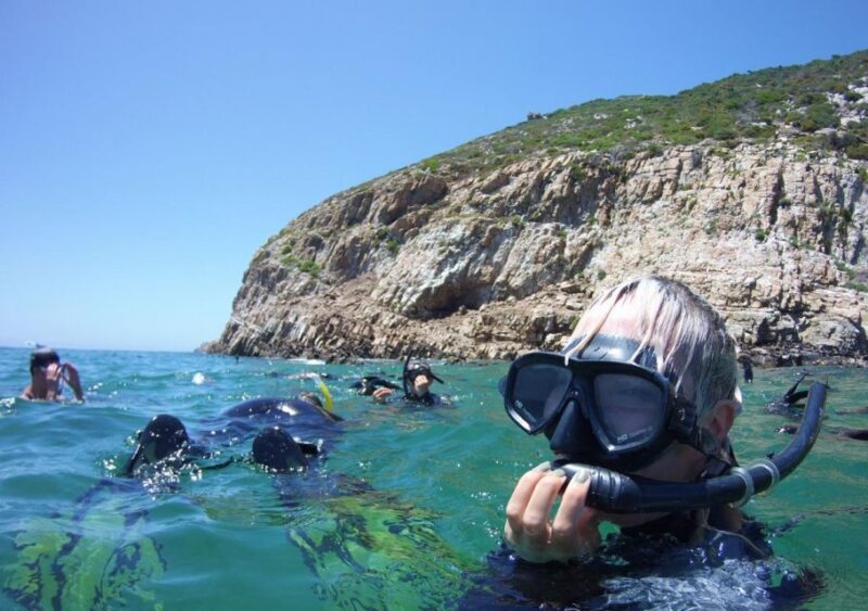 Plettenberg Bay: Swim with the Seals - Who Should Book This?