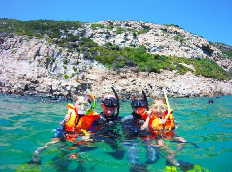 Plettenberg Bay: Swim with the Seals - Frequently Asked Questions