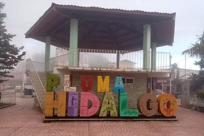 Pluma Hidalgo Coffee Experience - Key Points