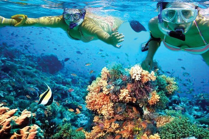 Plus Experience Isla Mujeres Tour - Who Should Consider This Tour?