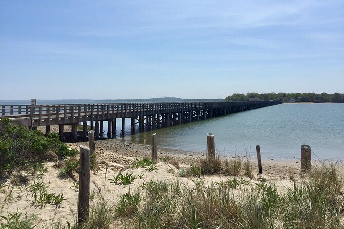 Plymouth & South Shore Full Day Private Tour from Boston - What We Think: The Value and Experience
