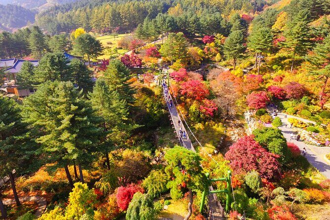 Pocheon Art Valley, Garden & Fruit Picking Day Tour from Seoul - The Sum Up
