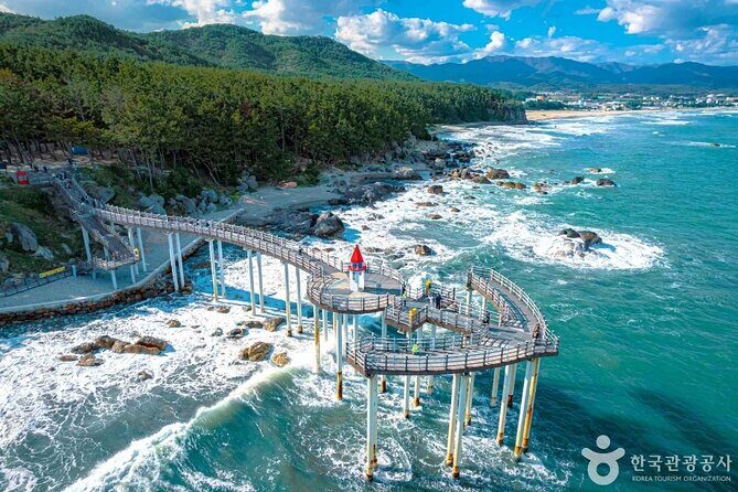 Pohang Customized Private Tour with a Licensed Tourguide - The Sum Up
