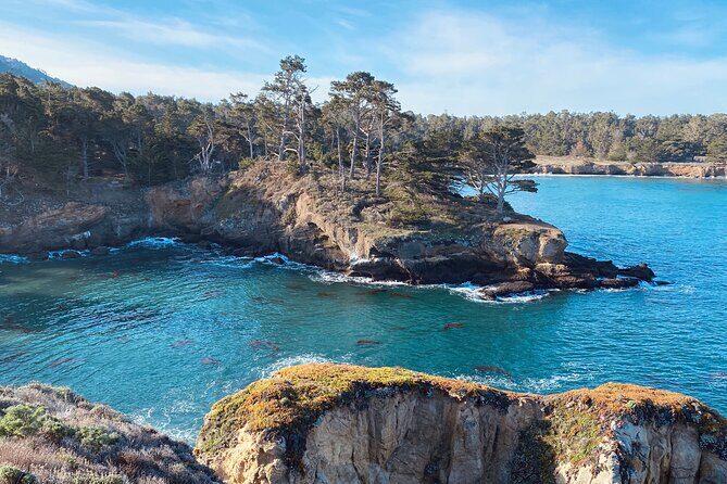 Point Lobos - A Private Charming Ocean Tour - What Makes Point Lobos Special?