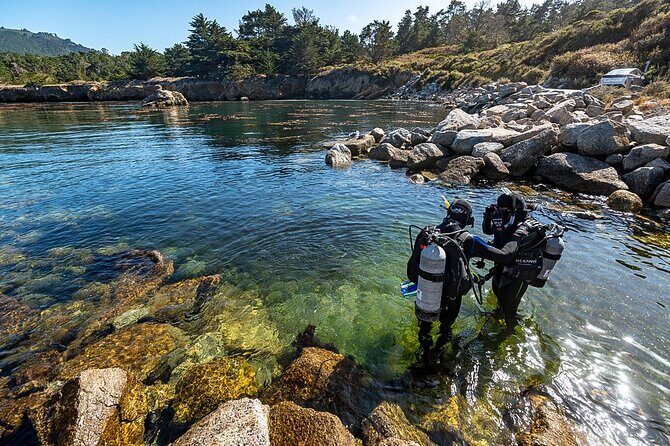 Point Lobos - A Private Charming Ocean Tour - The App-Guided Experience: Pros and Cons