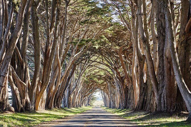 Point Reyes National Seashore Self Guided Driving Audio Tour - What’s on the Itinerary? A Deep Dive into the Stops