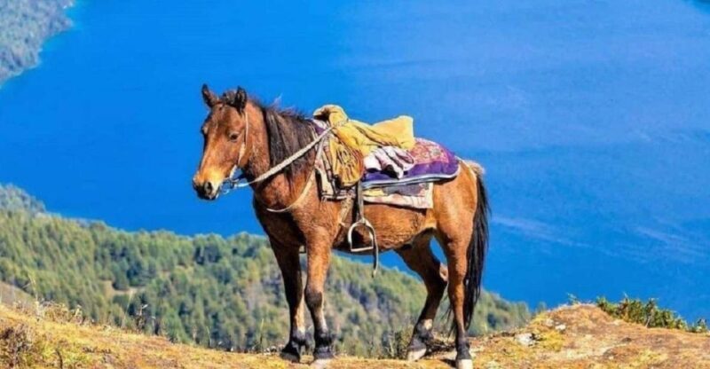 Pokhara: 1-Hour Horseback Ride with Hotel Pickup - Why This Experience Stands Out