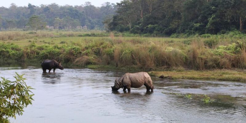 Pokhara: 1 Night 2 Day Chitwan Safari Tour - Key Points
