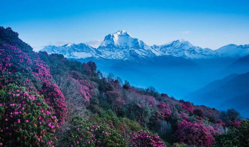 Pokhara: 2-Days Beautiful Poon Hill Trek with Sunrise View - Additional Notes