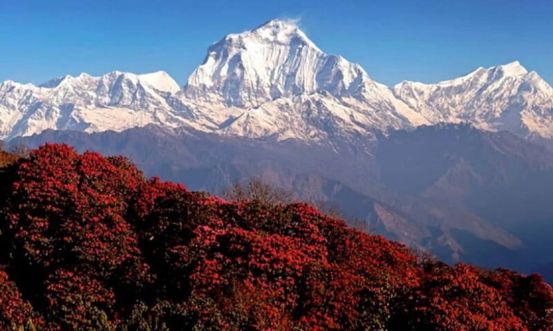 Pokhara: 3-Day Ghorephani and Poon Hill Private Trek - The Sum Up: Is This Trek for You?