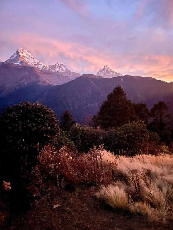 Pokhara: 3-Day Poon Hill Trek with Sunrise View - Introduction
