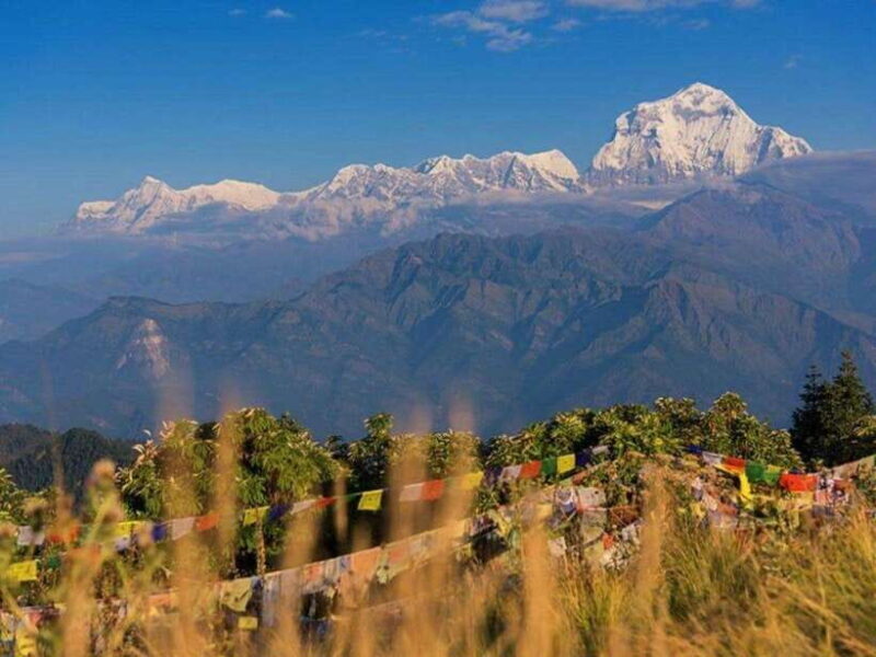 Pokhara: 3-Day Poon Hill Trek with Sunrise View - What Travelers Say & Why It Matters