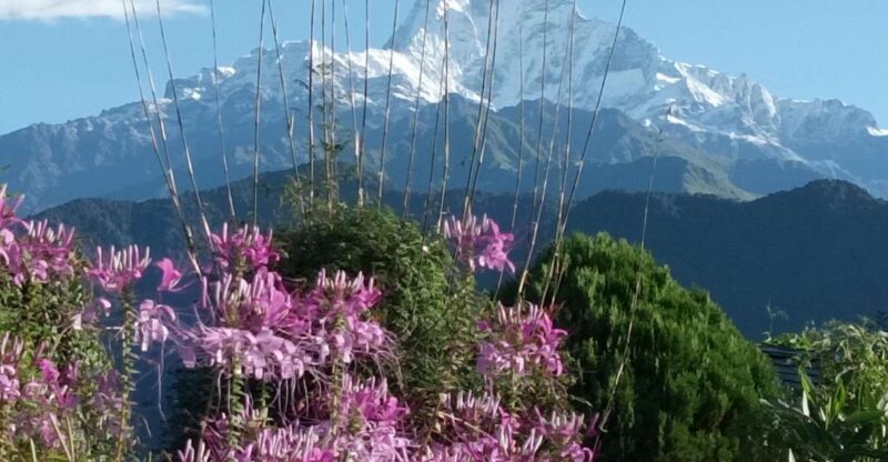 Pokhara: 3-Day Trek - Australian Camp: The First Night
