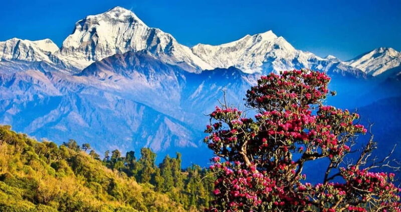Pokhara: 4-Day Ghorepani, Poonhill & Ghandruk Mountain Trek - Key Points