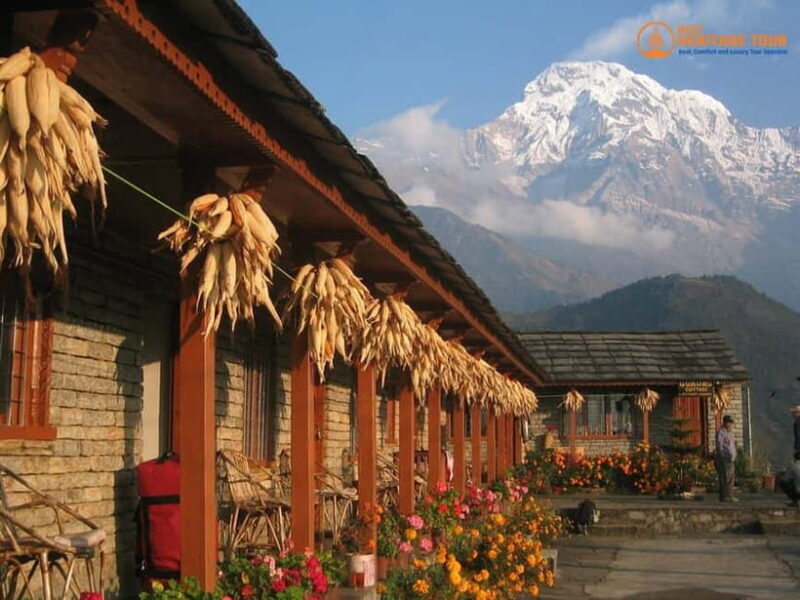Pokhara: 4-Day Ghorepani Poonhill Short Trek - Key Points